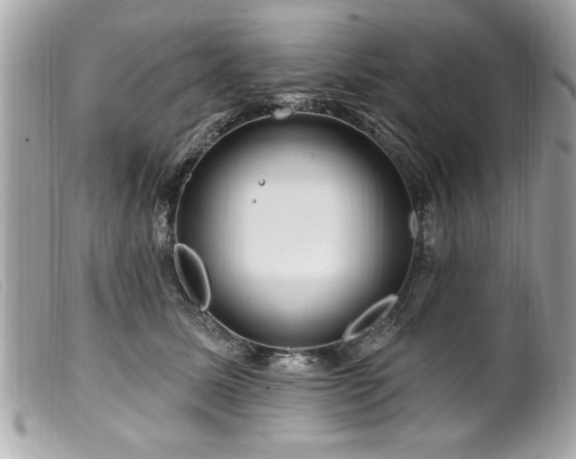 X0000100210611200805301327