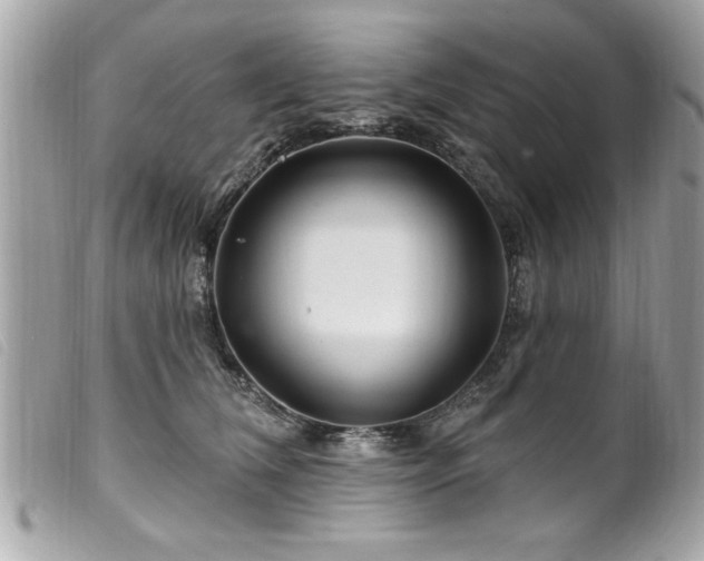 X0000100210612200805301327