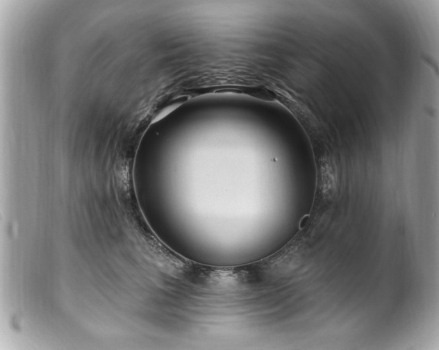 X0000100210613200805301327