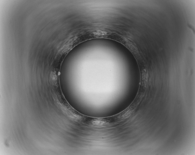 X0000100210614200805301327