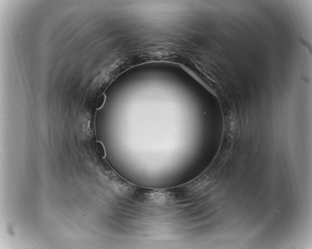 X0000100210615200805301327