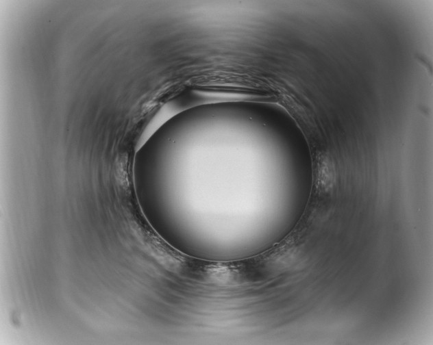 X0000100210616200805301327