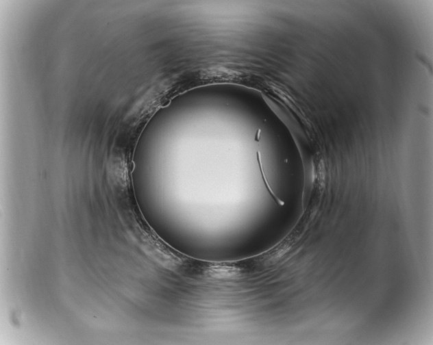 X0000100210617200805301327