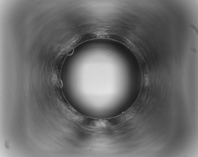 X0000100210618200805301327