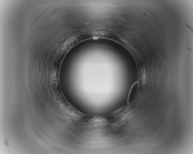 X0000100210619200805301327