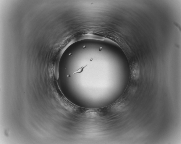 X0000100210620200805301327