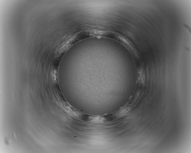 X0000100210621200805301327