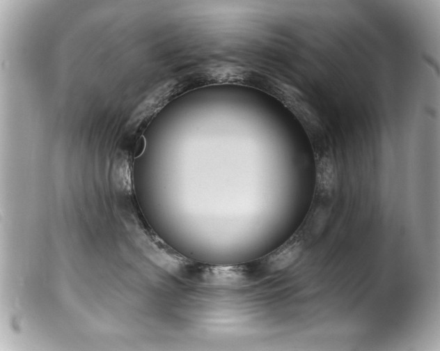 X0000100210622200805301327