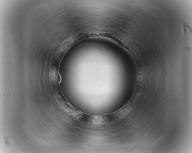 X0000100210623200805301327