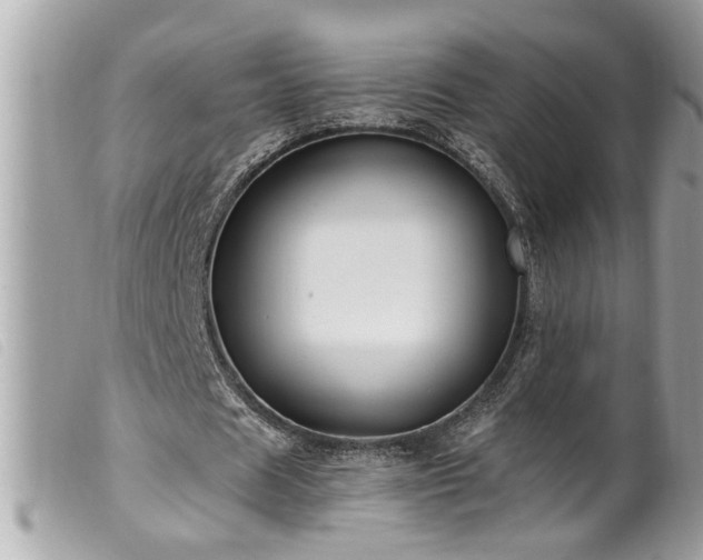 X0000100210625200805301326