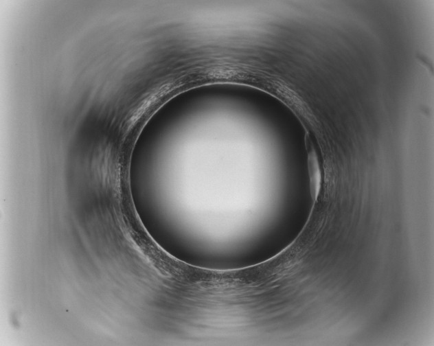X0000100210626200805301326