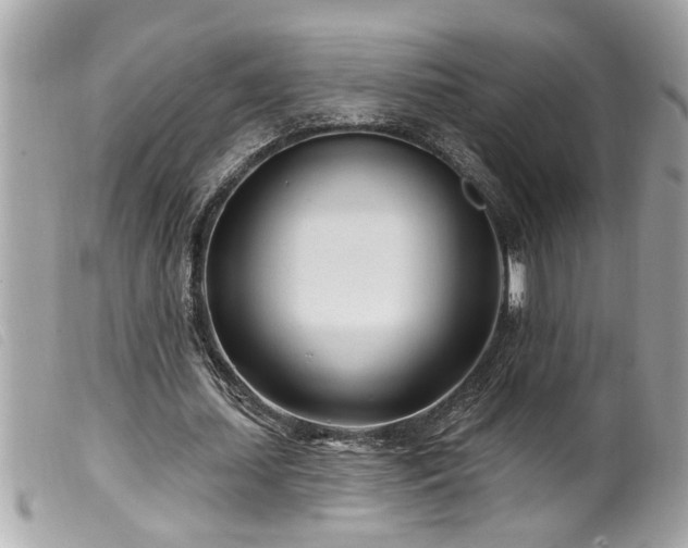 X0000100210627200805301326
