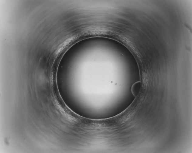 X0000100210629200805301326