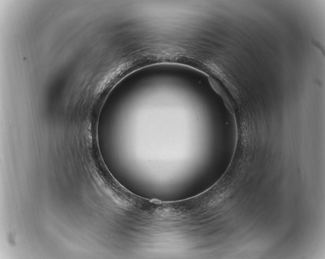 X0000100210634200805301326