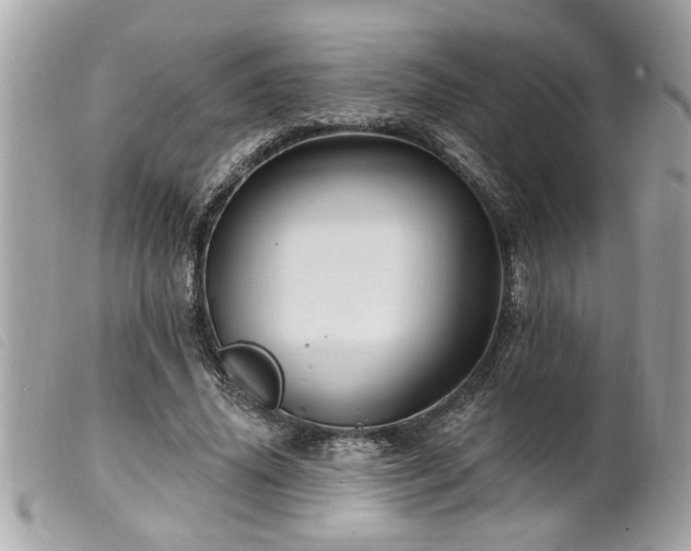 X0000100210636200805301326