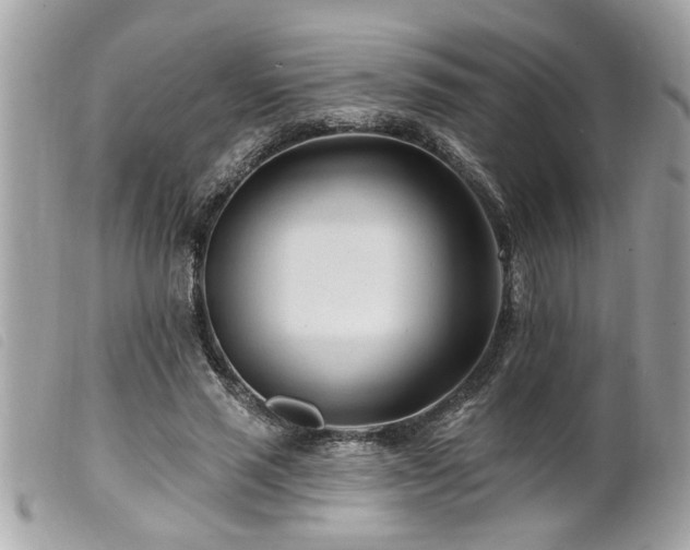 X0000100210637200805301326