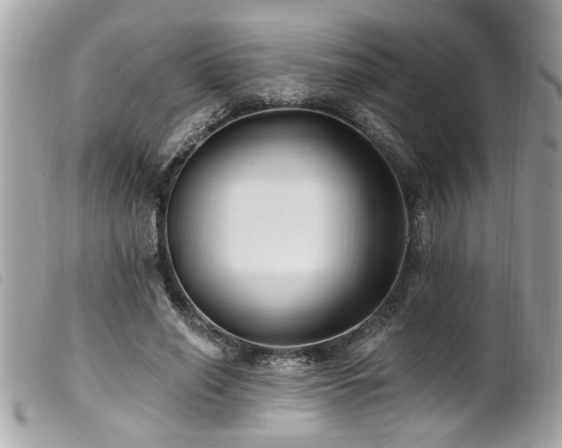 X0000100210638200805301326