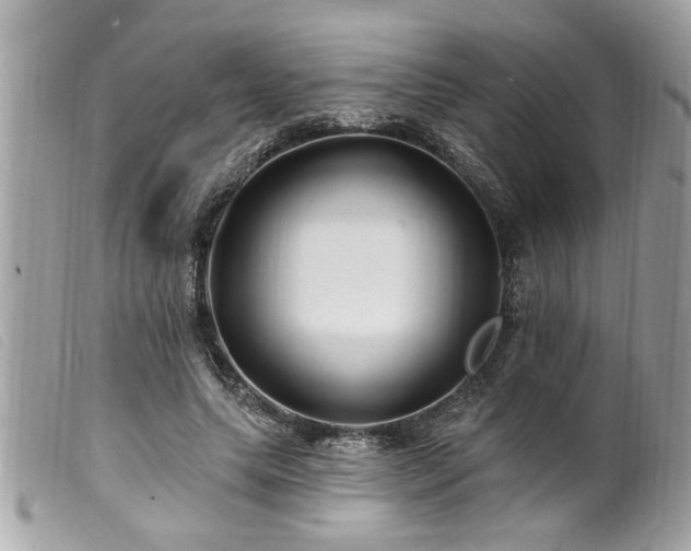 X0000100210639200805301326