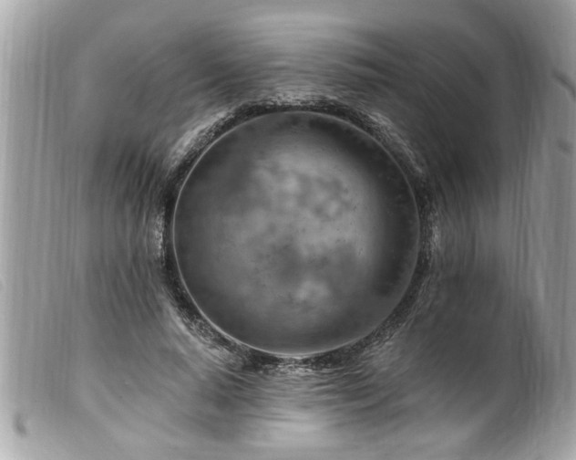 X0000100210640200805301327