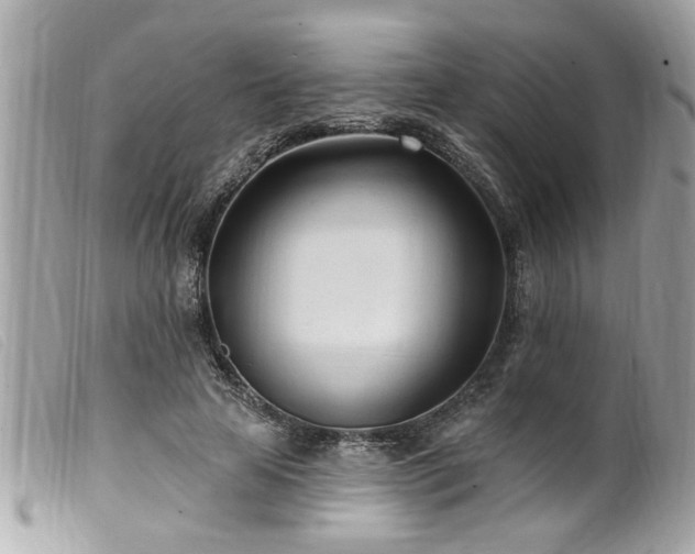 X0000100210641200805301327