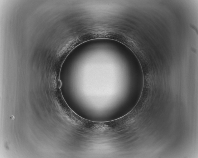 X0000100210642200805301327