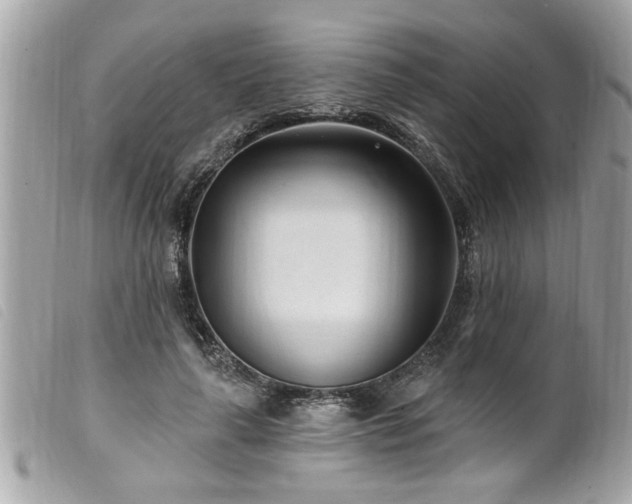 X0000100210643200805301327