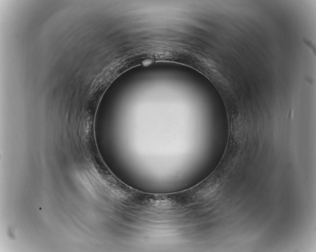 X0000100210645200805301327