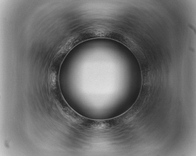 X0000100210646200805301327