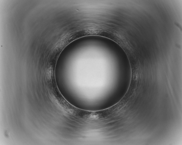 X0000100210647200805301327