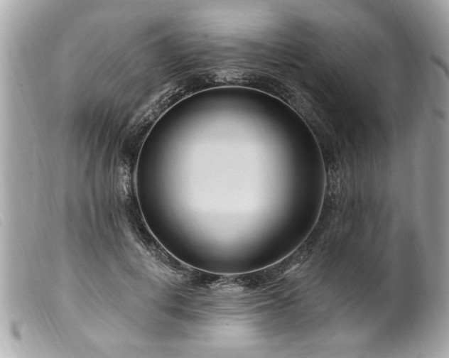 X0000100210648200805301327