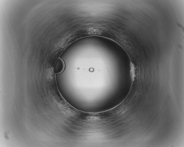 X0000100210649200805301327