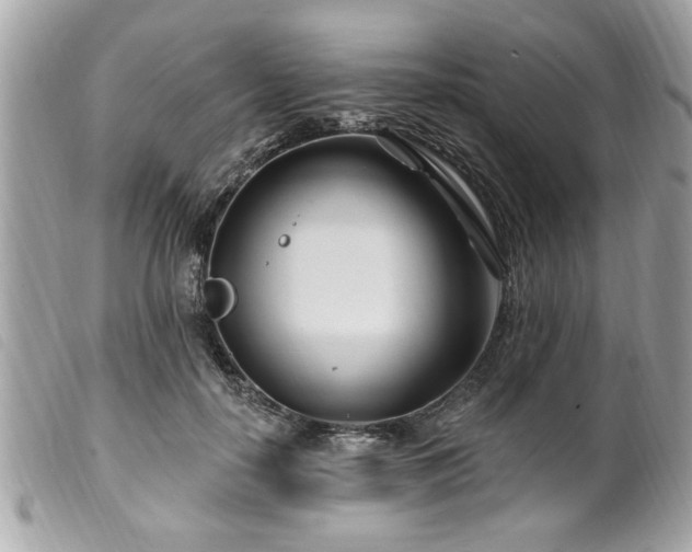 X0000100210650200805301327