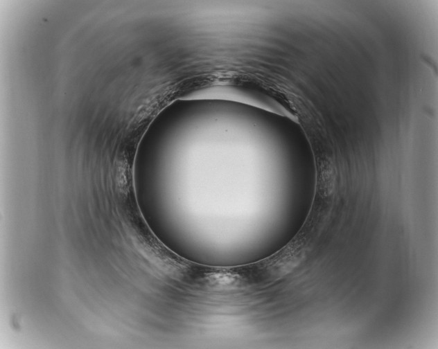 X0000100210654200805301327