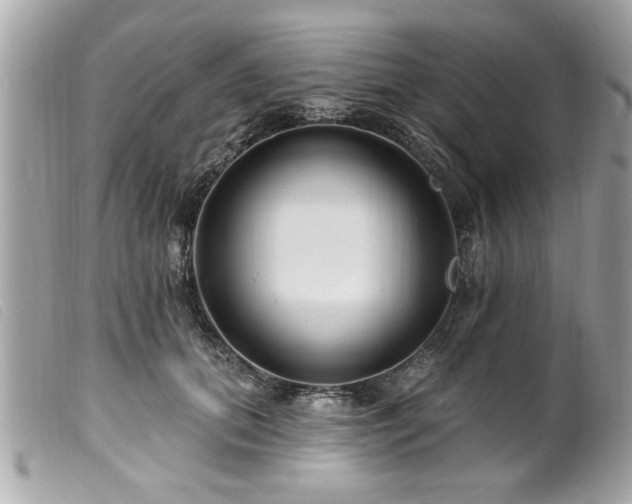 X0000100210655200805301327