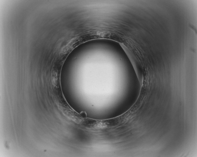 X0000100210656200805301327