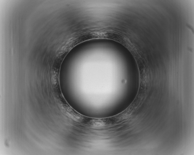 X0000100210658200805301327