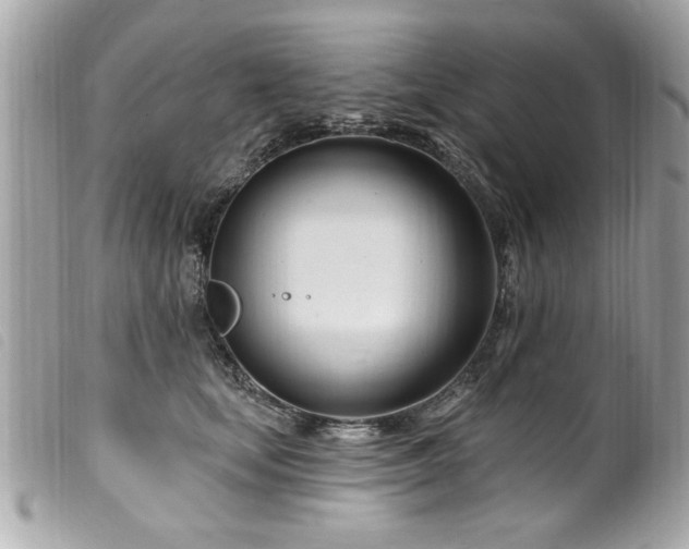 X0000100210659200805301327