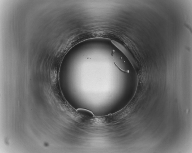 X0000100210660200805301327