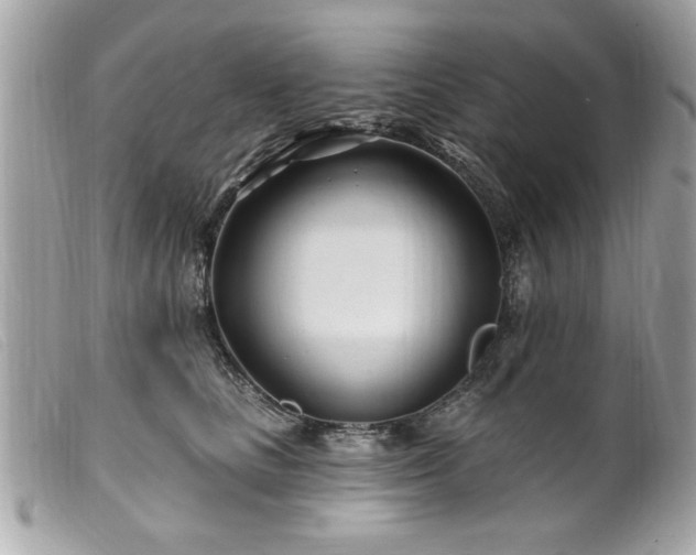 X0000100210661200805301327