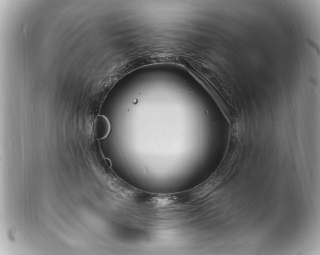 X0000100210662200805301327