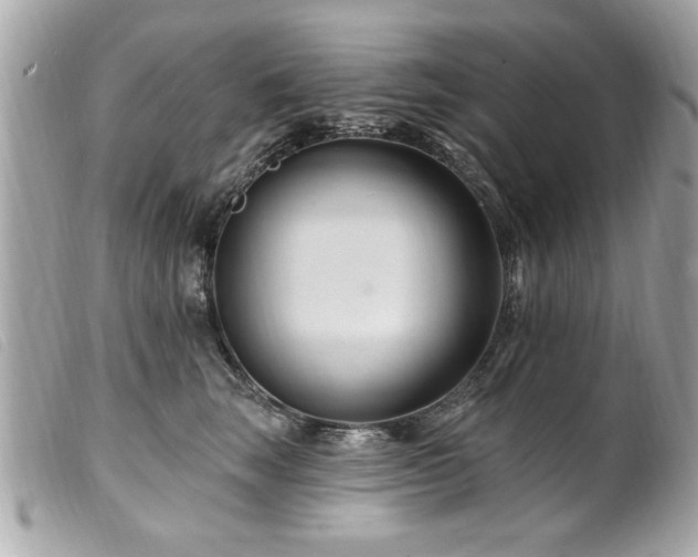 X0000100210663200805301327