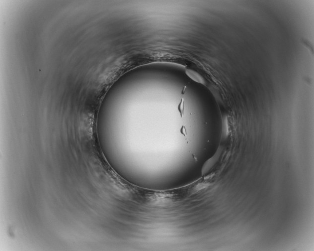 X0000100210664200805301327