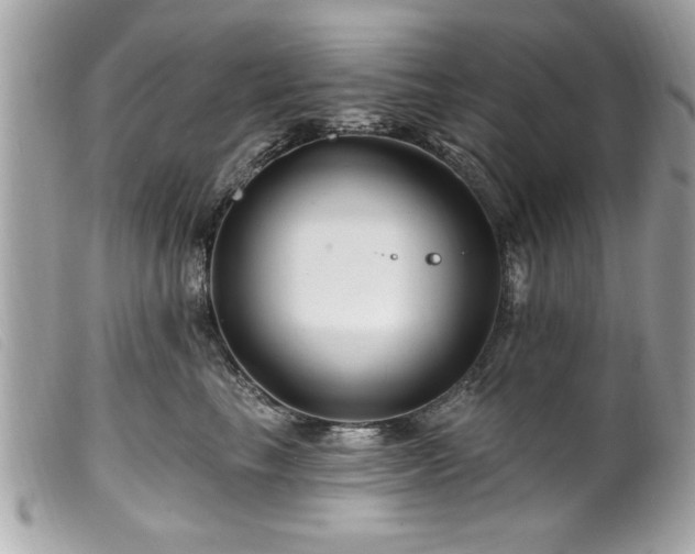 X0000100210665200805301327