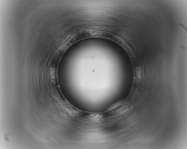 X0000100210667200805301327