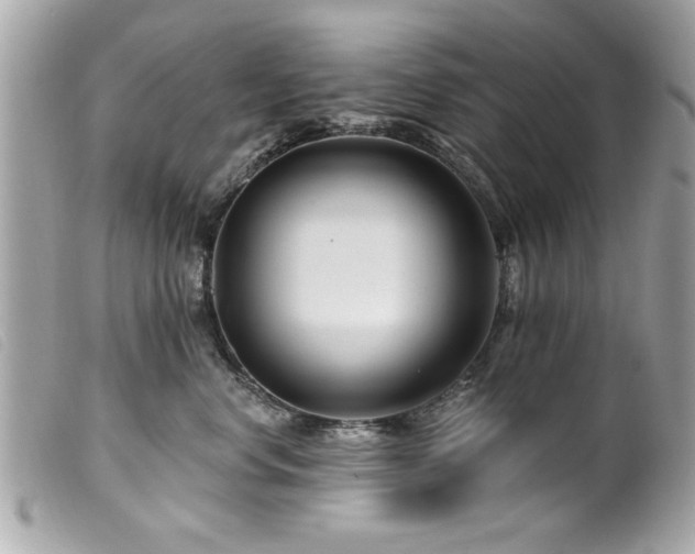 X0000100210668200805301327