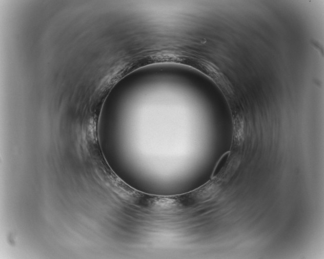 X0000100210669200805301327