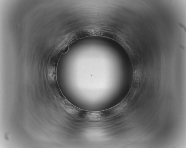 X0000100210671200805301327