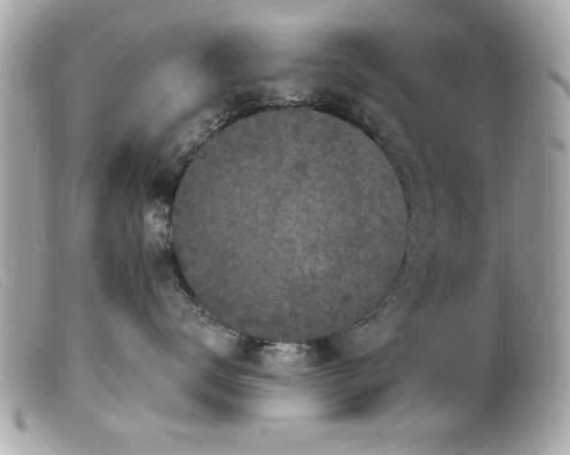 X0000100210672200805301327