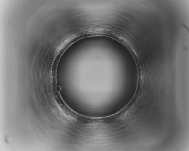 X0000100210674200805301326