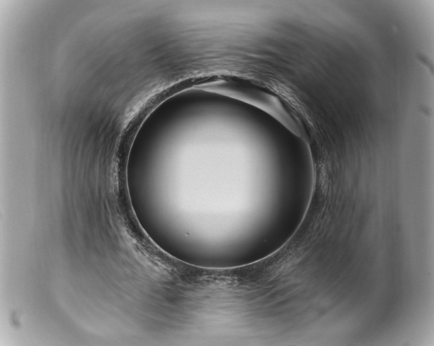 X0000100210676200805301326